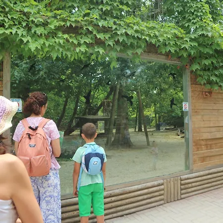 Carnia Lignano Sabbiadoro